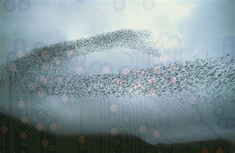 Amidst Futuristic Warfare: An In-depth Look at Alien Swarm