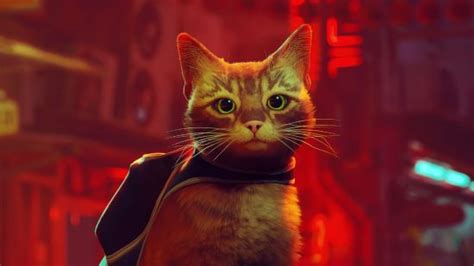 Stray: A Cyberpunk Adventure Starring a Dashing Feline Hero!